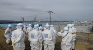Fukushima_inspeccion_OIEA